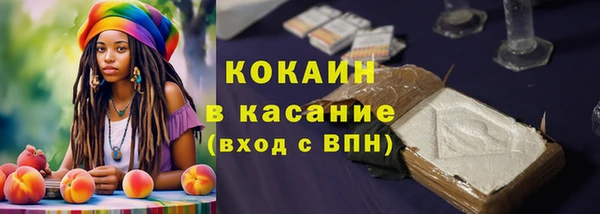 индика Баксан